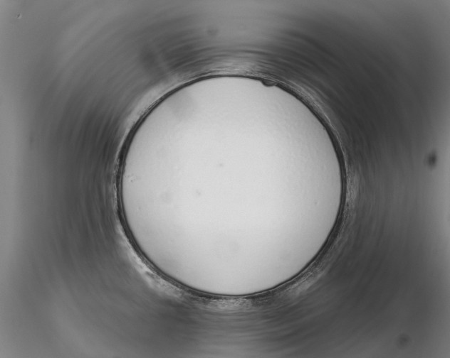 X0000115711434200912031518