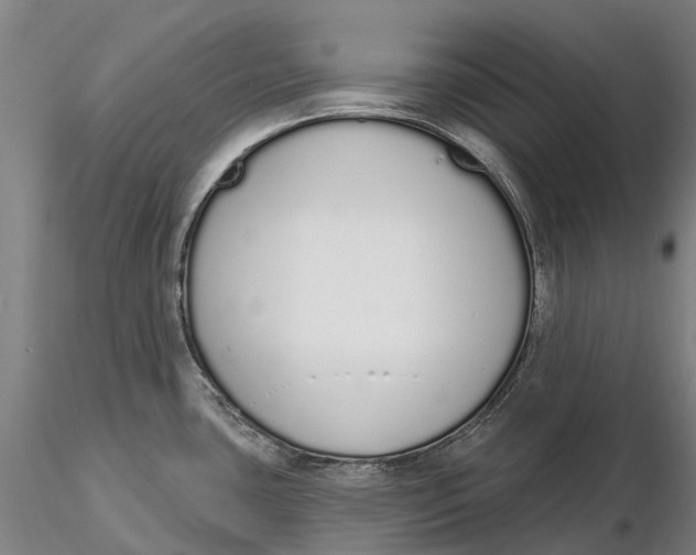 X0000115711435200912031518