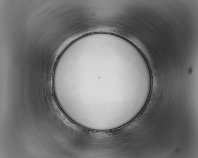 X0000115711436200912031518