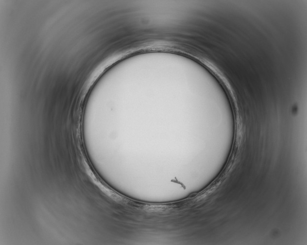 X0000115711437200912031518