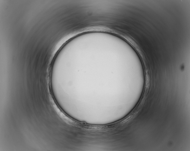 X0000115711438200912031518