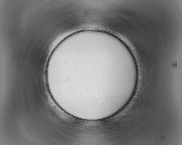 X0000115711440200912031518