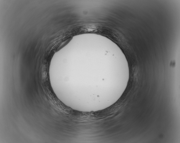 X0000115711442200912031517