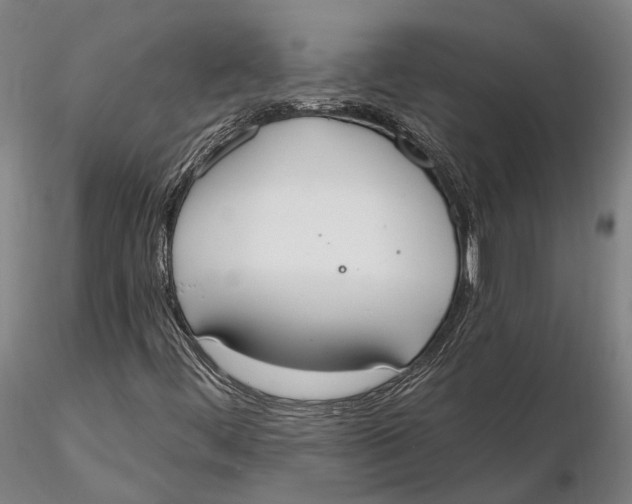 X0000115711444200912031517