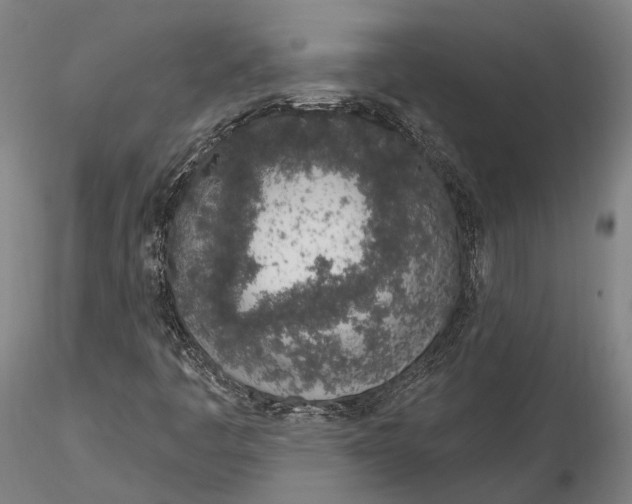 X0000115711445200912031517