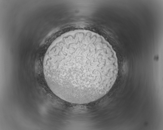 X0000115711446200912031517