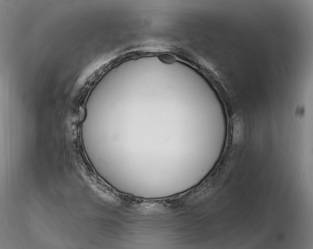 X0000115711448200912031517