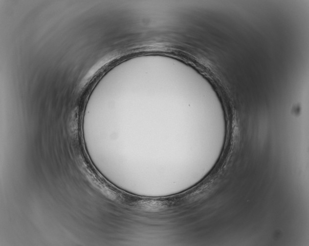 X0000115711450200912031517