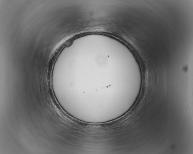 X0000115711452200912031517