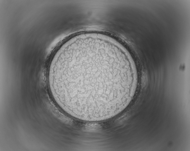 X0000115711454200912031517