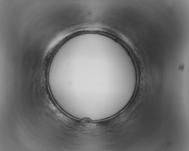 X0000115711456200912031517