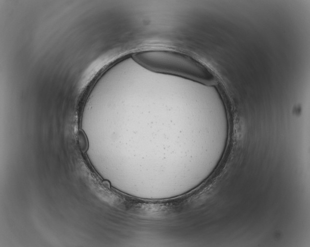 X0000115711461200912031517