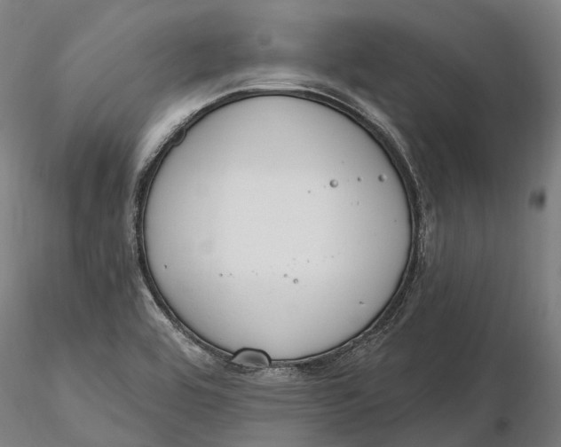 X0000115711464200912031517