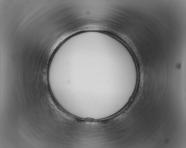 X0000115711465200912031517