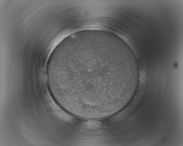 X0000115711466200912031517