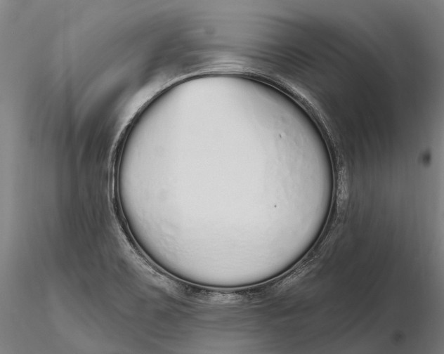 X0000115711467200912031517