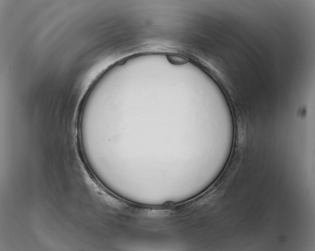 X0000115711471200912031517