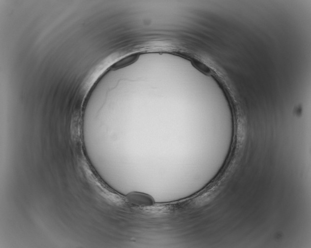 X0000115711473200912031517