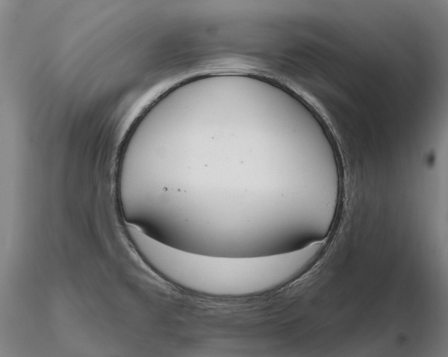 X0000115711477200912031517