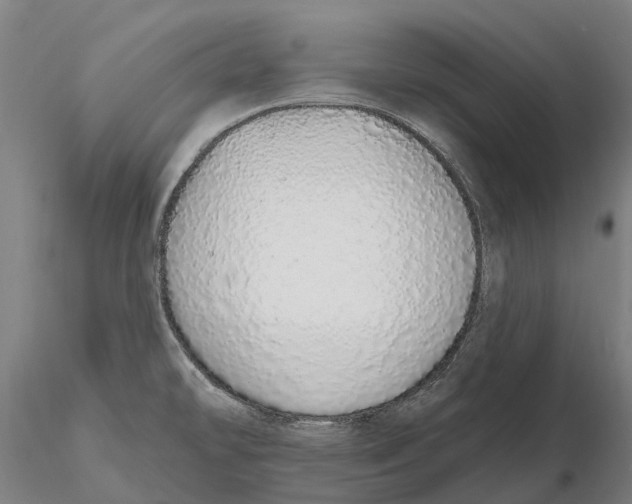 X0000115711478200912031517