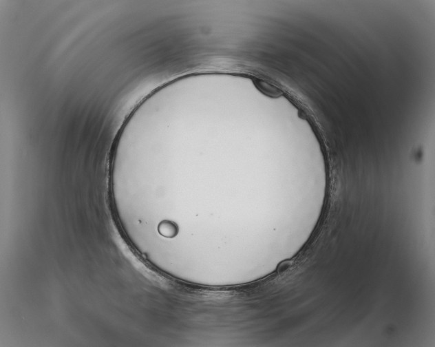 X0000115711479200912031517