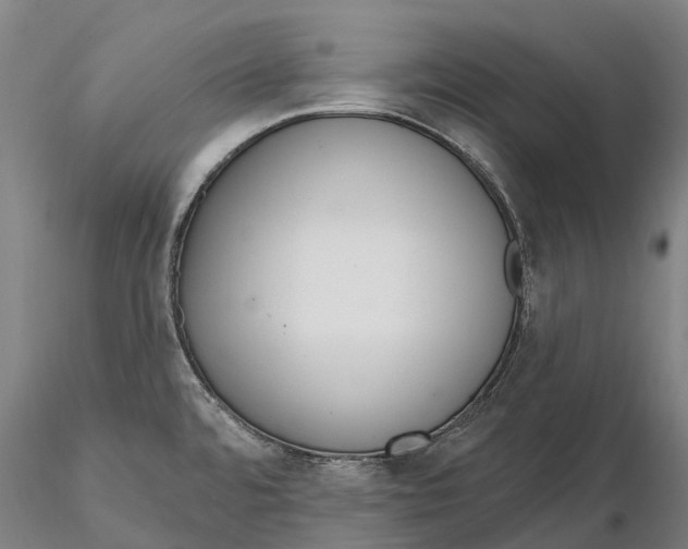 X0000115711480200912031517