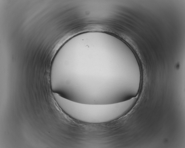 X0000115711481200912031517