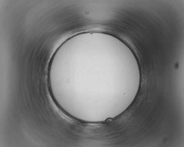 X0000115711483200912031517