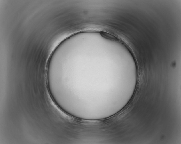 X0000115711487200912031517