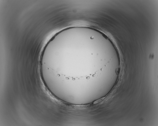 X0000115711488200912031517