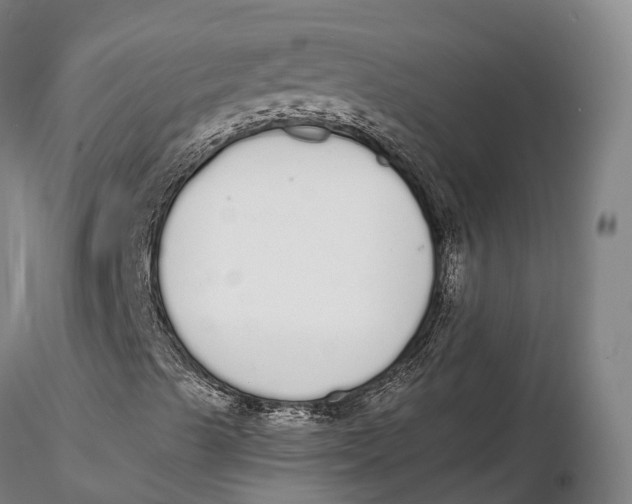 X0000115711489200912031516