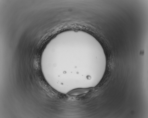 X0000115711490200912031516