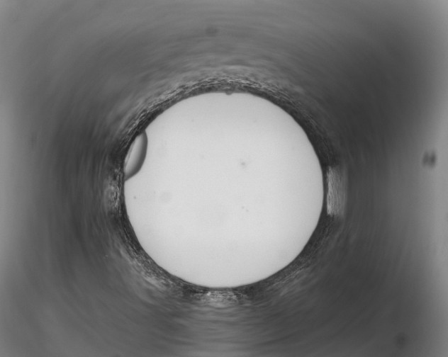 X0000115711491200912031516