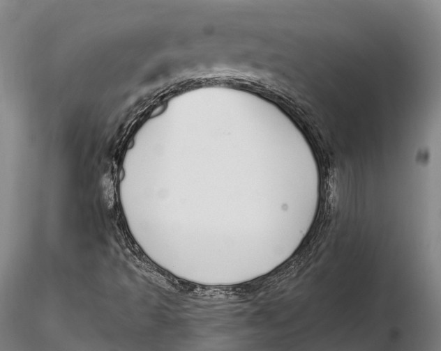 X0000115711493200912031516