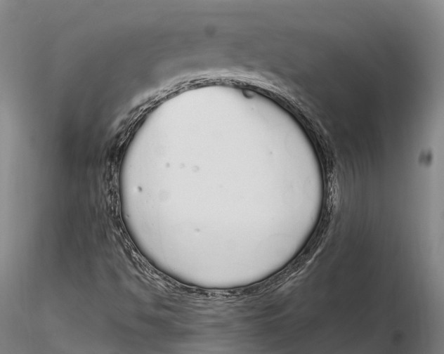 X0000115711494200912031516