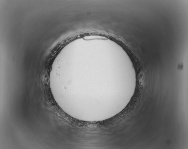 X0000115711495200912031516