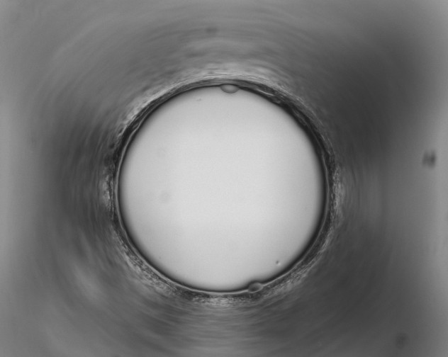 X0000115711497200912031516