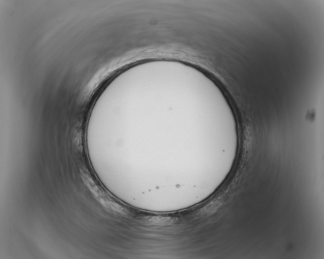 X0000115711499200912031516