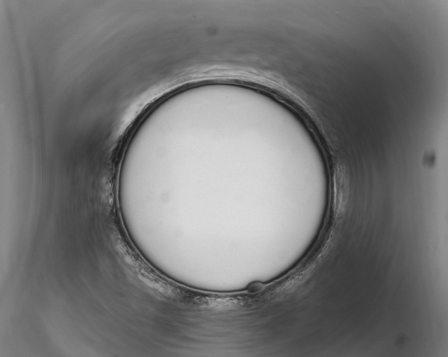 X0000115711501200912031516