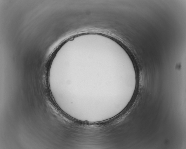 X0000115711502200912031516