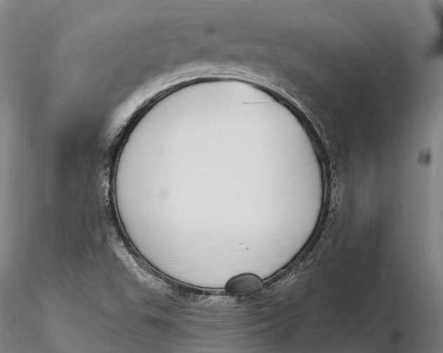 X0000115711503200912031516