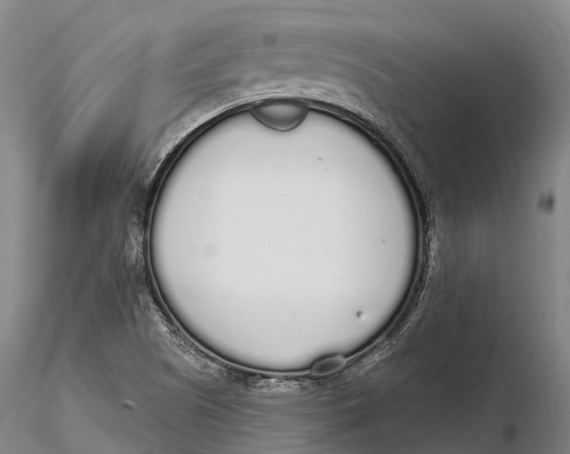 X0000115711505200912031516