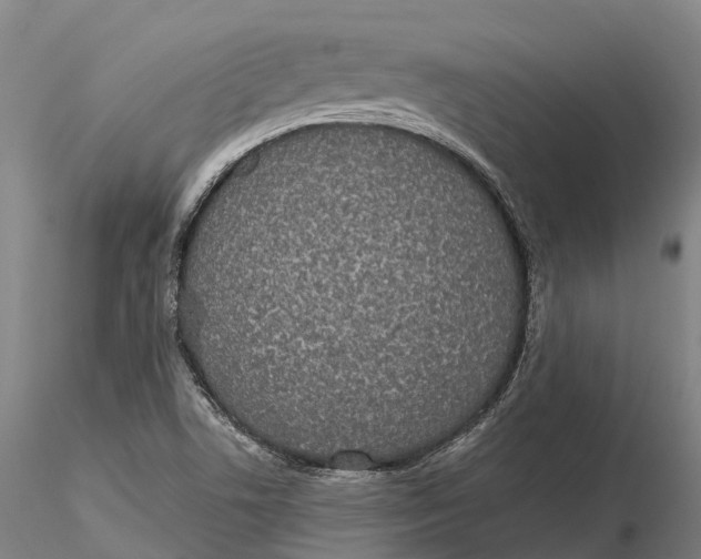 X0000115711506200912031516