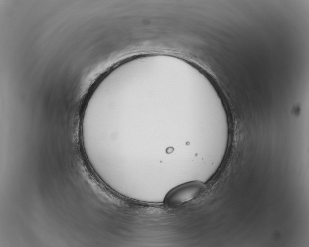 X0000115711507200912031516