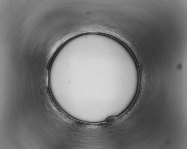 X0000115711509200912031516