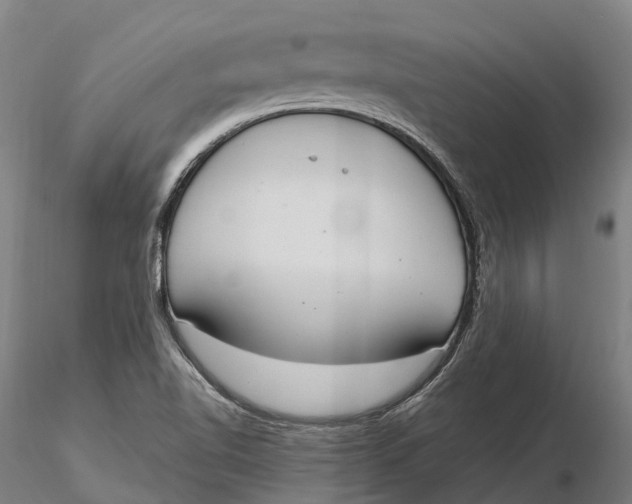 X0000115711510200912031516