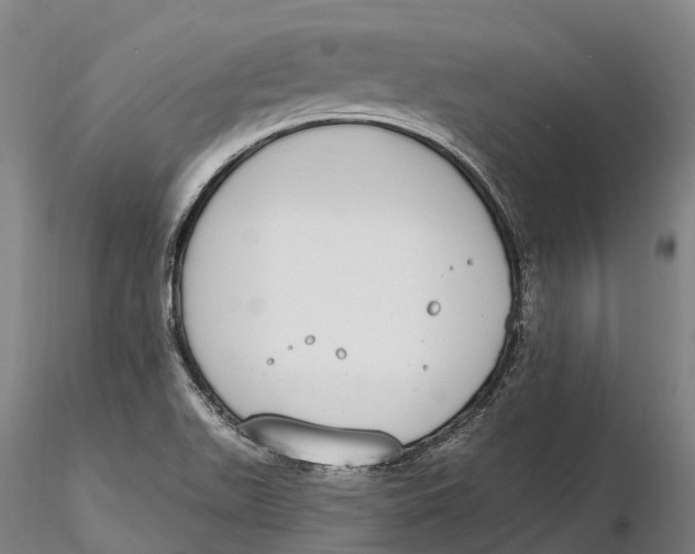 X0000115711511200912031516