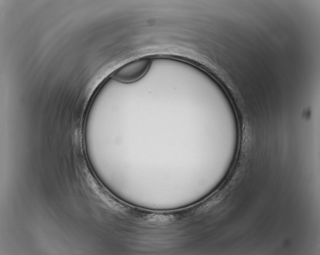 X0000115711513200912031516