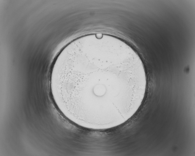 X0000115711514200912031516