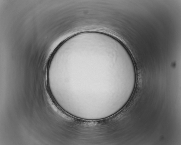 X0000115711515200912031516